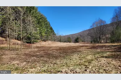 584 Old Wilson Road, Swanton, MD 21561 - Photo 3