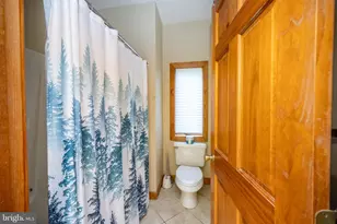 110 Highline Dr, Mc Henry, MD 21541 - Photo 19