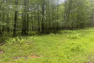 Lot 18 Buck Dr, Oakland, MD 21550 - Photo 1