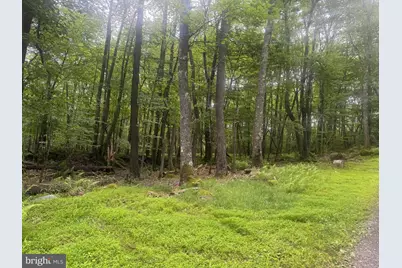 Lot 18 Buck Drive, Oakland, MD 21550 - Photo 5