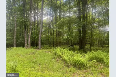Lot 18 Buck Drive, Oakland, MD 21550 - Photo 3