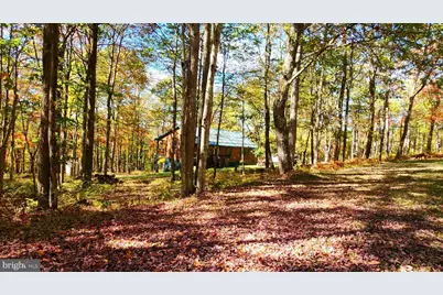 1167 Tall Oaks Drive, Oakland, MD 21550 - Photo 61