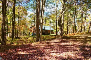 1167 Tall Oaks Dr, Oakland, MD 21550 - Photo 61