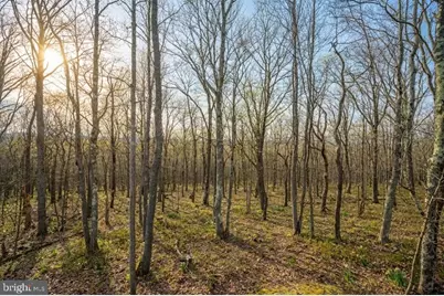 1167 Tall Oaks Drive, Oakland, MD 21550 - Photo 7