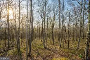 1167 Tall Oaks Dr, Oakland, MD 21550 - Photo 7