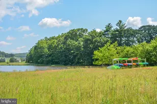 304 Waterfront Greens Dr, Swanton, MD 21561 - Photo 53