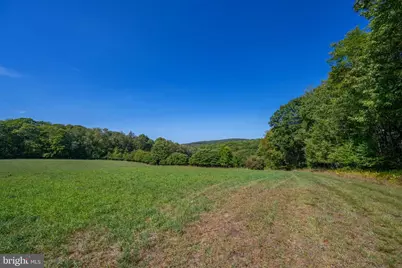 3348 & 3360 Cove Road, Accident, MD 21520 - Photo 17