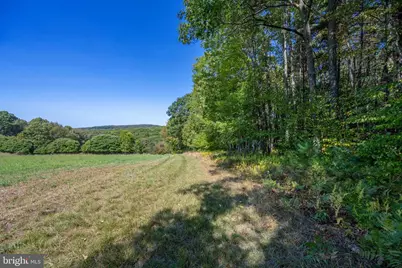 3348 & 3360 Cove Road, Accident, MD 21520 - Photo 15