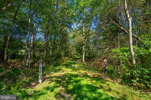 3348 & 3360 Cove Rd, Accident, MD 21520 - Photo 9