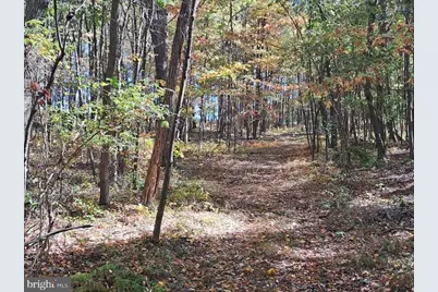 3348 & 3360 Cove Road, Accident, MD 21520 - Photo 29