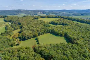 3348 & 3360 Cove Rd, Accident, MD 21520 - Photo 11