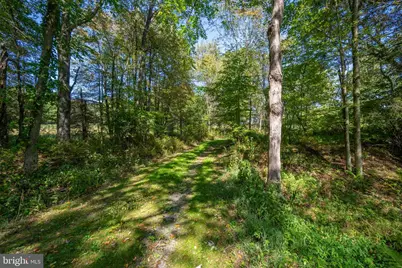 3348 & 3360 Cove Road, Accident, MD 21520 - Photo 25