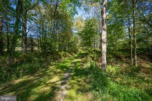 3348 & 3360 Cove Rd, Accident, MD 21520 - Photo 25