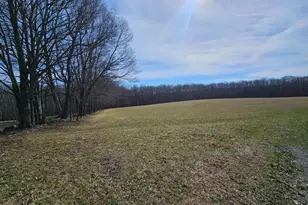 355 Lonesome Pine Rd, Oakland, MD 21550 - Photo 47