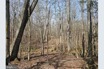 355 Lonesome Pine Road, Oakland, MD 21550 - Photo 37