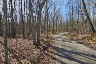 355 Lonesome Pine Rd, Oakland, MD 21550 - Photo 43