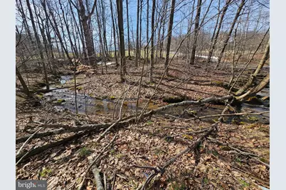 355 Lonesome Pine Road, Oakland, MD 21550 - Photo 41