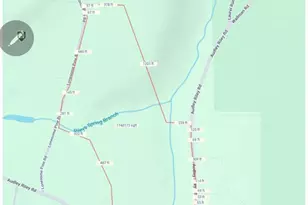 355 Lonesome Pine Rd, Oakland, MD 21550 - Photo 69