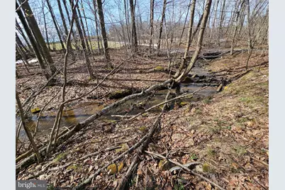 355 Lonesome Pine Road, Oakland, MD 21550 - Photo 39