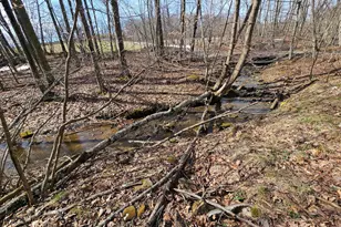 355 Lonesome Pine Rd, Oakland, MD 21550 - Photo 39