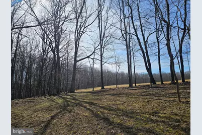 355 Lonesome Pine Road, Oakland, MD 21550 - Photo 45