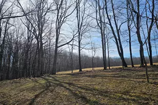 355 Lonesome Pine Rd, Oakland, MD 21550 - Photo 45