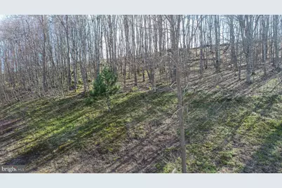 1 Sweet Rewards Farm Road, Mc Henry, MD 21541 - Photo 9