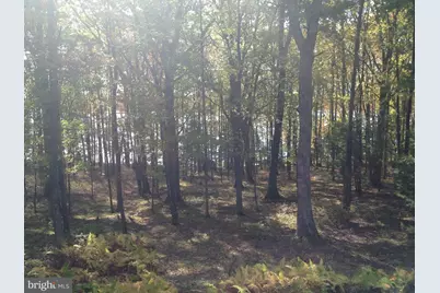 1461 Shoreline Drive, Swanton, MD 21561 - Photo 61