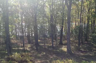 1461 Shoreline Dr, Swanton, MD 21561 - Photo 61