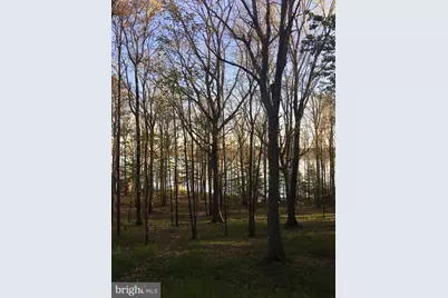 1461 Shoreline Drive, Swanton, MD 21561 - Photo 21