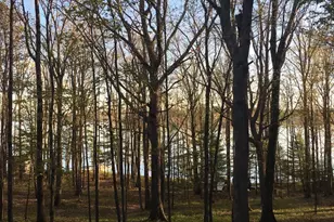 1461 Shoreline Dr, Swanton, MD 21561 - Photo 21