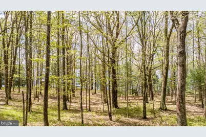 1461 Shoreline Drive, Swanton, MD 21561 - Photo 3