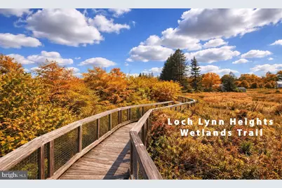 422 Maple Avenue, Oakland, MD 21550 - Photo 21