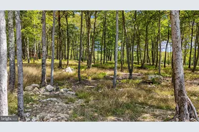 Lot 20 Green Jacket Ct, Mc Henry, MD 21541 - Photo 7