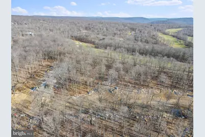 Lot 20 Green Jacket Ct, Mc Henry, MD 21541 - Photo 39