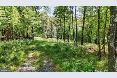 Lot 5 Lodestone Way, Mc Henry, MD 21541 - Photo 13