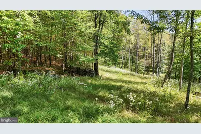 Lot 5 Lodestone Way, Mc Henry, MD 21541 - Photo 5