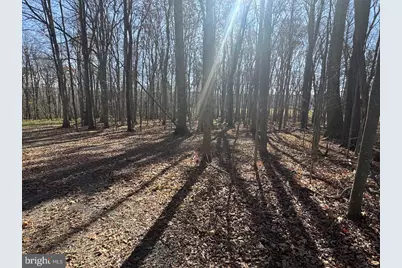 Maryland Highway, Oakland, MD 21550 - Photo 3