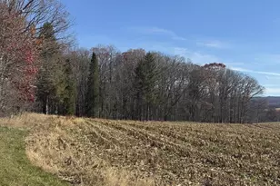 Maryland Hwy, Oakland, MD 21550 - Photo 1