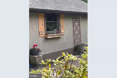 3930 Mayhew Inn Road, Oakland, MD 21550 - Photo 67