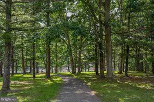 11 Valley View Dr, Swanton, MD 21561 - Photo 65