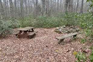 552 Black Oak Dr, Oakland, MD 21550 - Photo 5