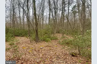 552 Black Oak Drive, Oakland, MD 21550 - Photo 33