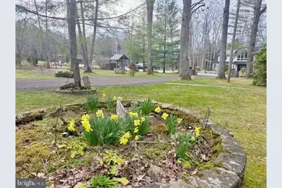 222 Skippers Point Road, Oakland, MD 21550 - Photo 43