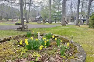 222 Skippers Point Rd, Oakland, MD 21550 - Photo 43