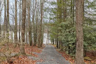 222 Skippers Point Rd, Oakland, MD 21550 - Photo 47