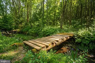 2571 Shady Dell Rd, Oakland, MD 21550 - Photo 49