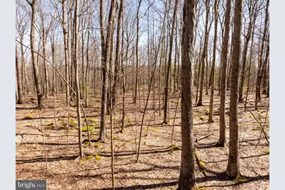 13 Birchwood Drive, Oakland, MD 21550 - Photo 3