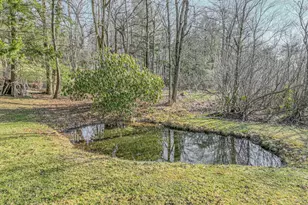 31 S Cranberry Swamp Dr, Frostburg, MD 21532 - Photo 11