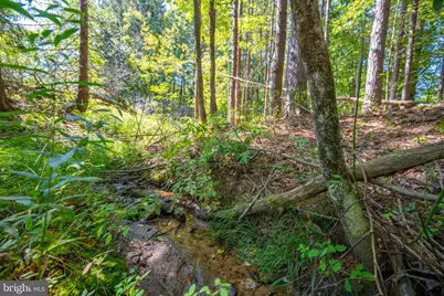 3348 & 3360 Cove Road, Accident, MD 21520 - Photo 5